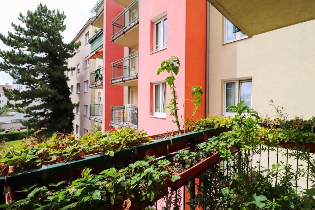 Cozynite Premium Apartment Schoenbrunn 2 Виена Екстериор снимка